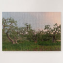 Suche nach olivenbaum puzzle Olivenhain