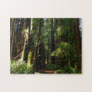 Suche nach farne puzzle Jede person