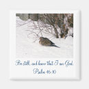 Suche nach beklagentaube Schnee