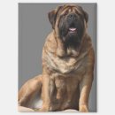 Suche nach rechteckig magnete Für ihn