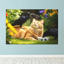 Suche nach katze und vogel leinwandbilder Für alle