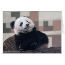 Suche nach pelztier postkarten Niedlich