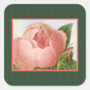 Suche nach kohl rose aufkleber Vintag