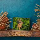 Suche nach kalb fotoplatten Weißwedelhirsch