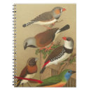 Suche nach vintage vögel kleine notizbücher Natur