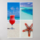 Suche nach seesterne poster Jede person