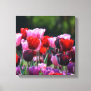 Suche nach bunte tulpen leinwandbilder Lila