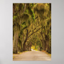 Suche nach savannah poster Straße