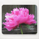 Suche nach rosa pfingstrosen mousepads Blume