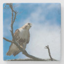 Suche nach jagd untersetzer Jede person