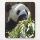 Suche nach großer panda mousepads Bambus