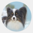 Suche nach papillon hund aufkleber Festspielzeug