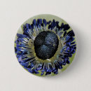 Suche nach anemonen buttons Blumen