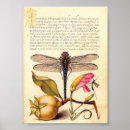 Suche nach unkraut pflanze poster Botanisch