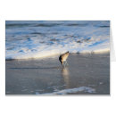 Suche nach suche postkarten Vögel