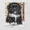 Suche nach pekingeser postkarten Pekingisch