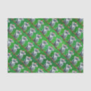 Suche nach koala seidenpapier Tiere