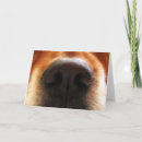 Suche nach steak karten Papa