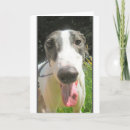 Suche nach windhund karten Natur