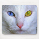 Suche nach türkische mousepads Katze