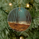 Suche nach mondschein ornamente Winter