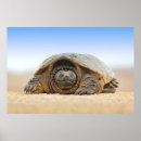 Suche nach sand poster Natur
