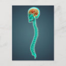 Suche nach brustkorb postkarten Wirbelsäule