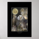 Suche nach rote eule poster Vögel