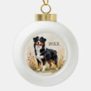 Suche nach australian shepherd ornamente Australschäfer