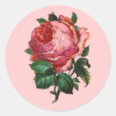 Suche nach antike rosen aufkleber Jede person