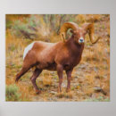 Suche nach ram poster Landschaft