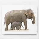 Suche nach elefant liebe mousepads Tiere