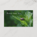 Suche nach käfer visitenkarten Ladybug