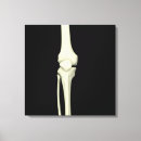 Suche nach knien leinwandbilder Menschliches skelett