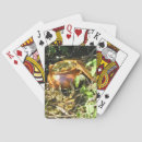 Suche nach viel glück spielkarten Grün