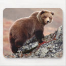 Suche nach braunbär mousepads Natur