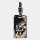 Suche nach waschbär gepäckanhänger Niedlich