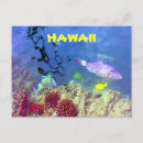 Suche nach hawaii fische postkarten Jede person