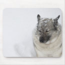 Suche nach temperatur mousepads Winter