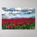 Suche nach rote tulpen poster Naturfotografie