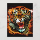Suche nach roar postkarten Tiger