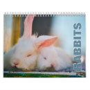 Suche nach kaninchen kalender Haustier