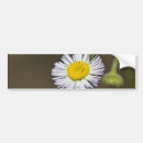 Suche nach wildblumen autoaufkleber Blumenreich