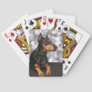 Suche nach dobermänner spiele sport spiele Haustiere