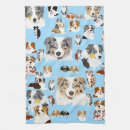 Suche nach australische hunde geschirr tücher Niedlicher hund