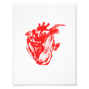 Suche nach anatomisches herz poster Liebe