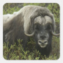 Suche nach nom nom aufkleber Alaska