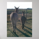 Suche nach esel poster Niedlich