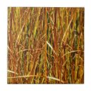 Suche nach käfig untersetzer Teich