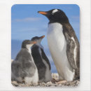 Suche nach lebensraum mousepads Meer